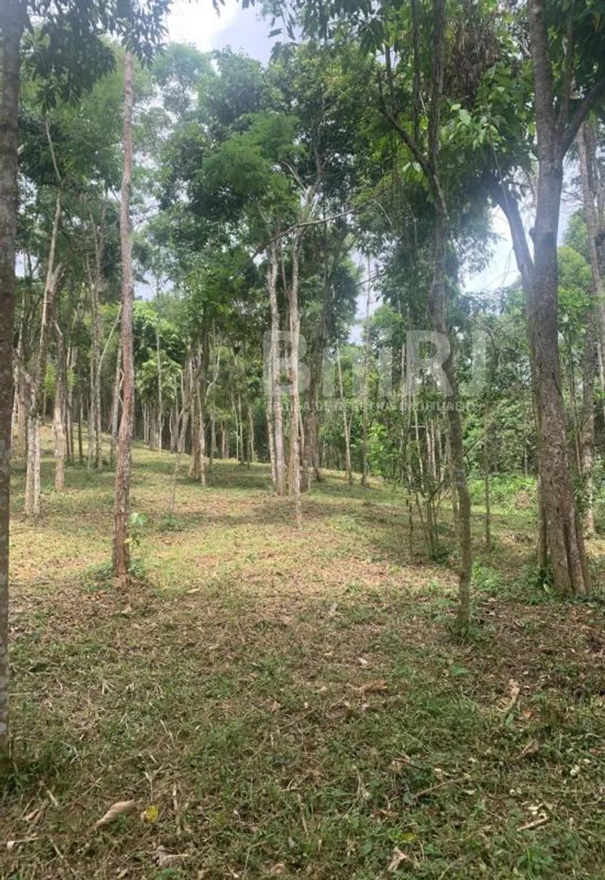 Araras, Petrópolis RJ. 11 lotes no Vale das Videiras. Rodeada por exuberante natureza, ide - Foto 8
