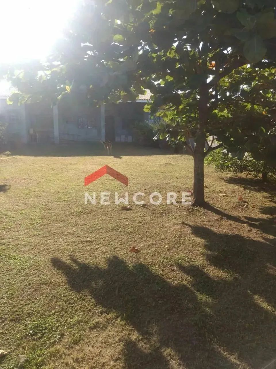 Lote em Rua Valmir de Souza Ormundo - Parque D Aville - Peruíbe/SP - Foto 3
