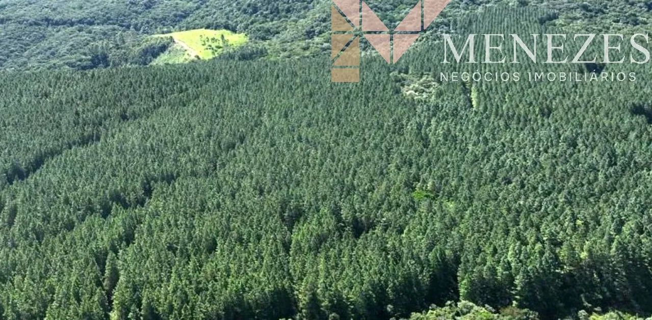 FAZENDA À VENDA NO SUL DE SANTA CATARINA - Foto 3