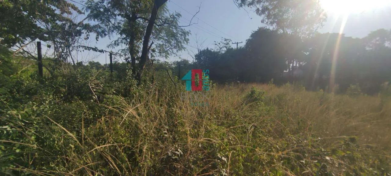 Santa Cruz | Terreno - Foto 4