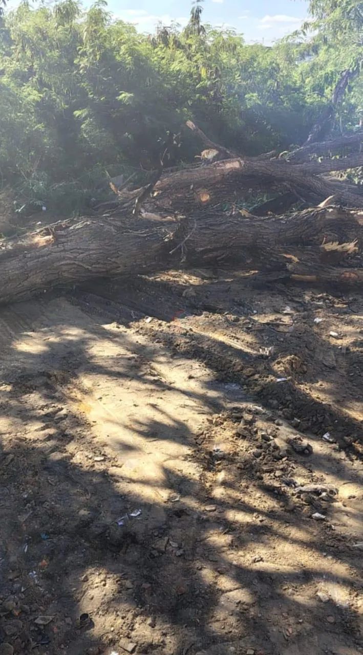 Terreno à venda em Monte Mor, Jardim Alvorada - Foto 4