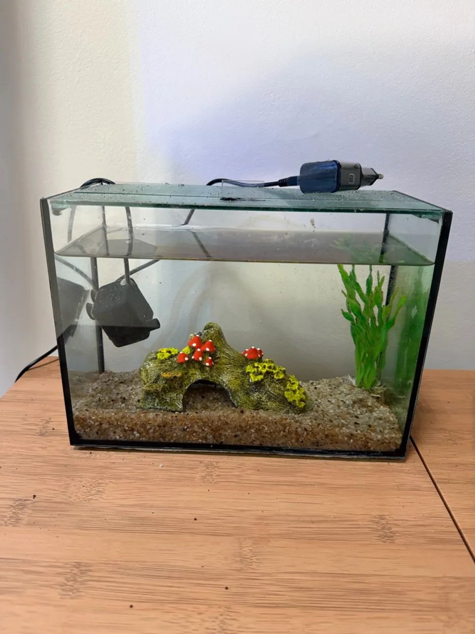Aquario 4L completo (ideal para Beta)