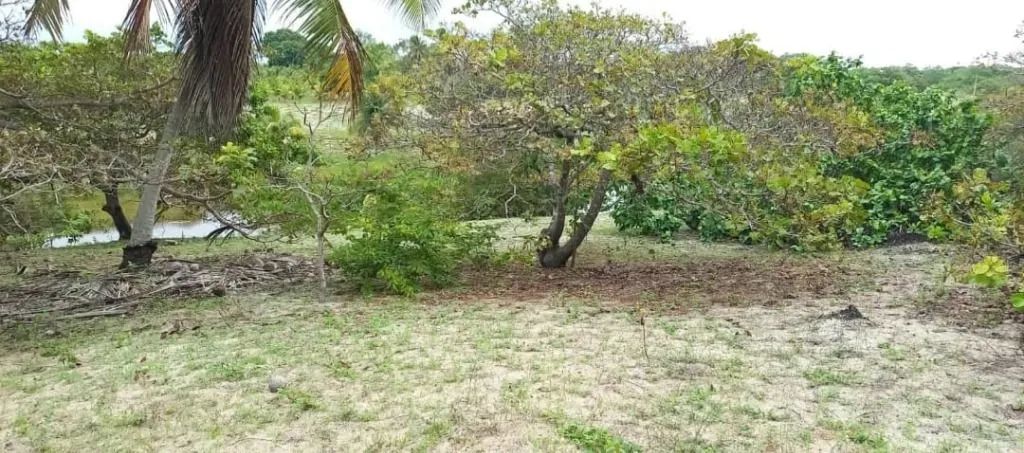 Terreno Lagoinha - Foto 5