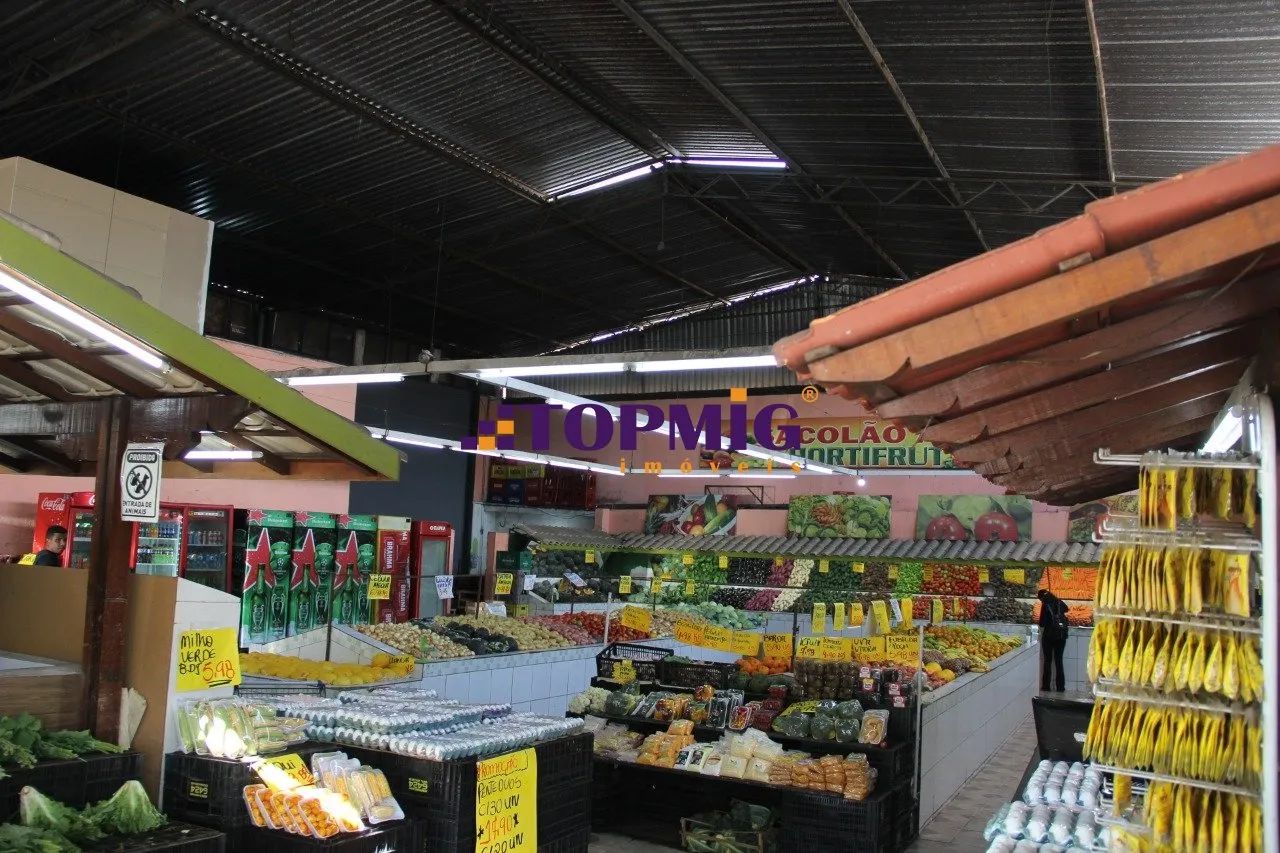 Galpão Multiuso - Rio Branco - Belo Horizonte. - Foto 2