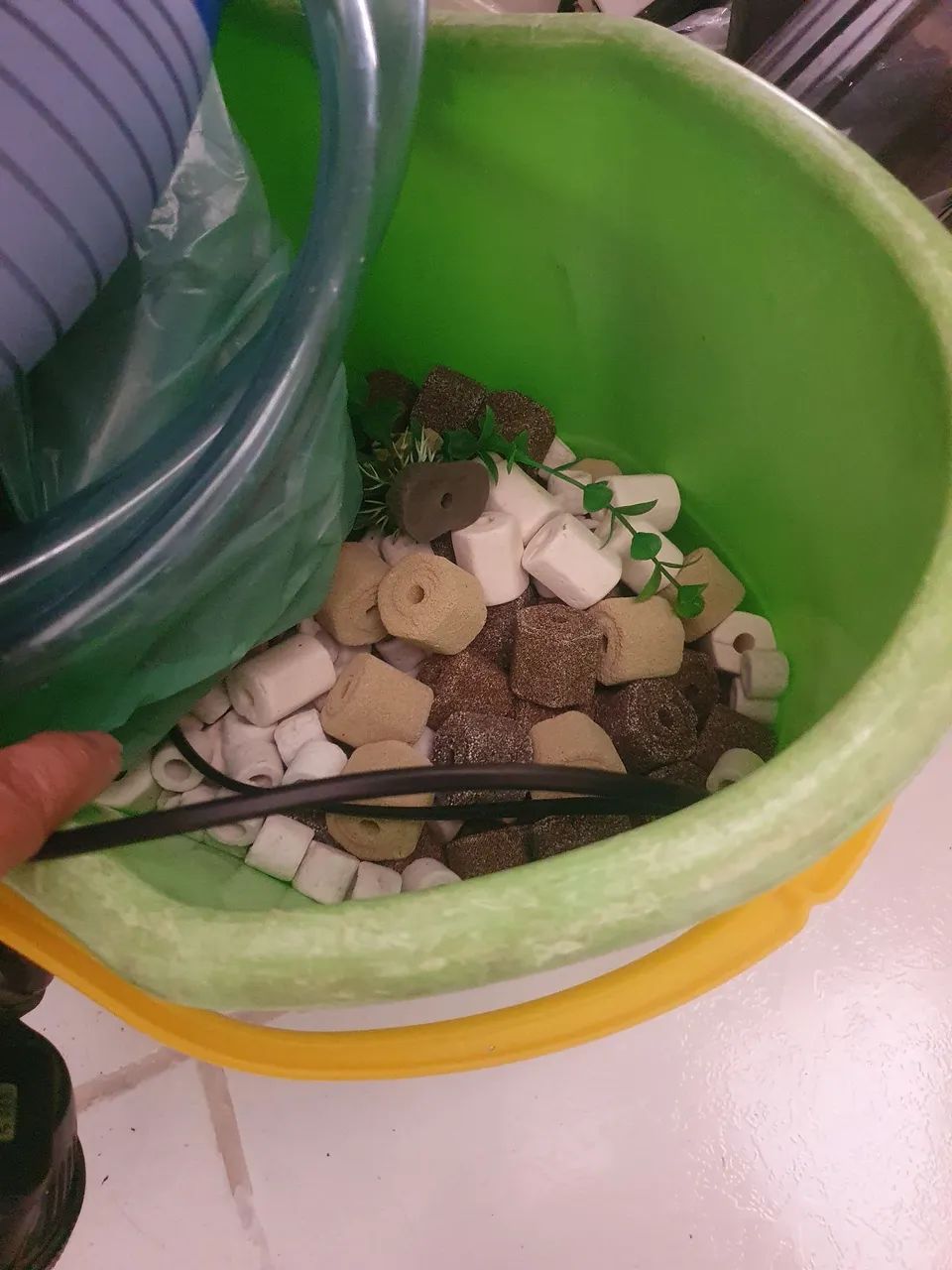 Aquário completo  - Foto 3