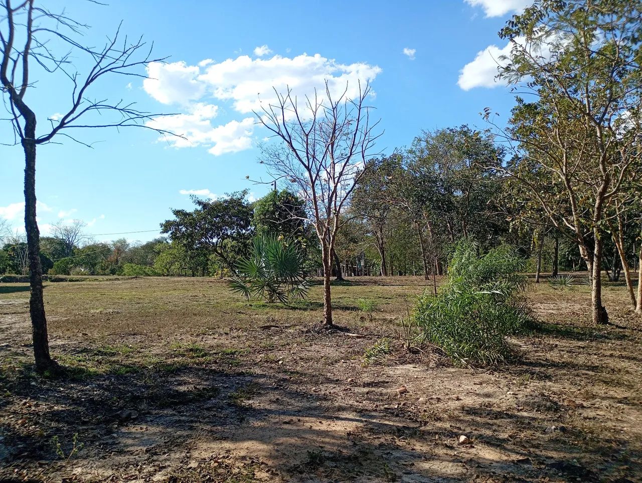 ? Oportunidade Única: Excelente Chácara de 5 Hectares - Foto 4