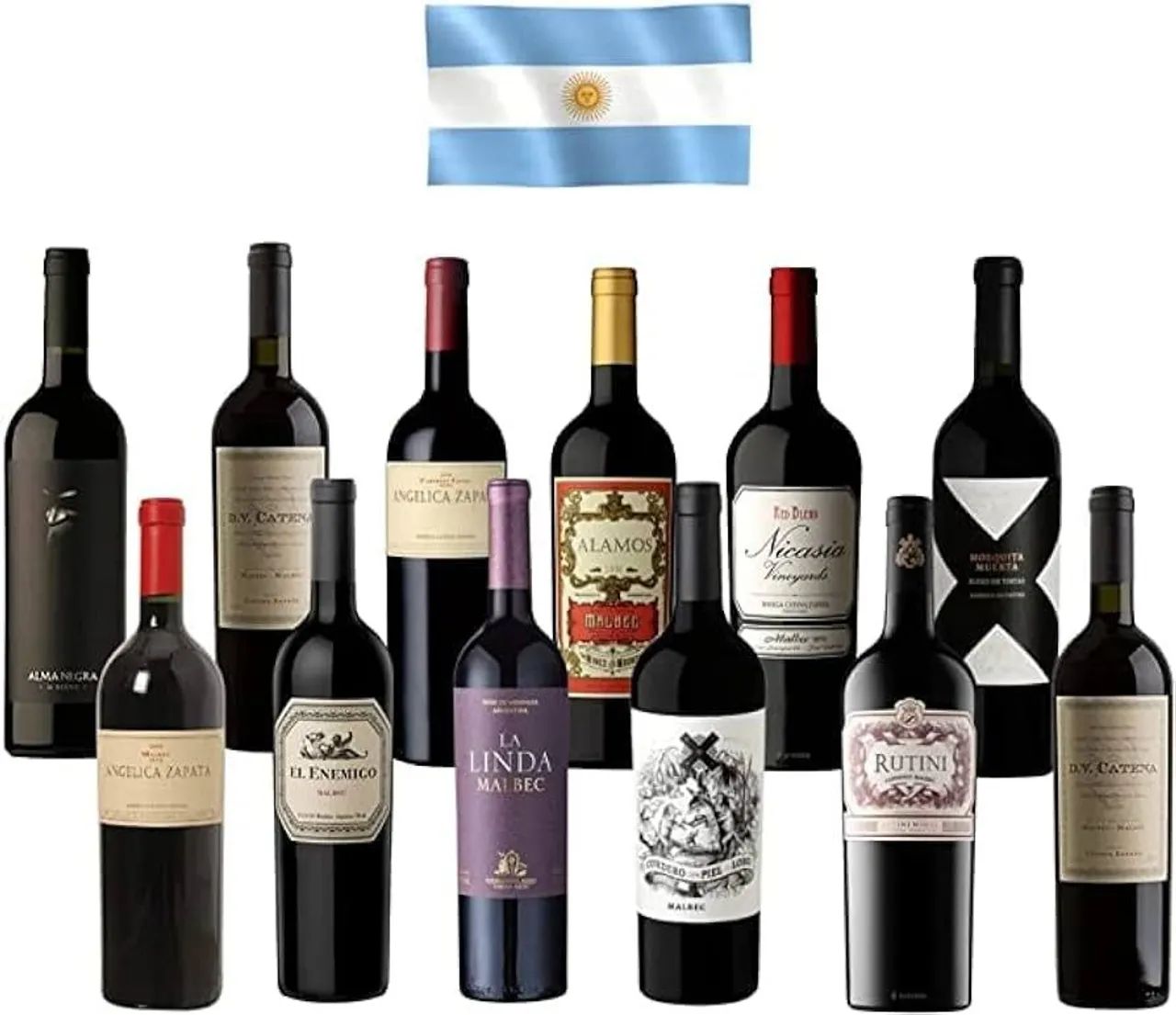 Vinhos Argentinos - Foto 5