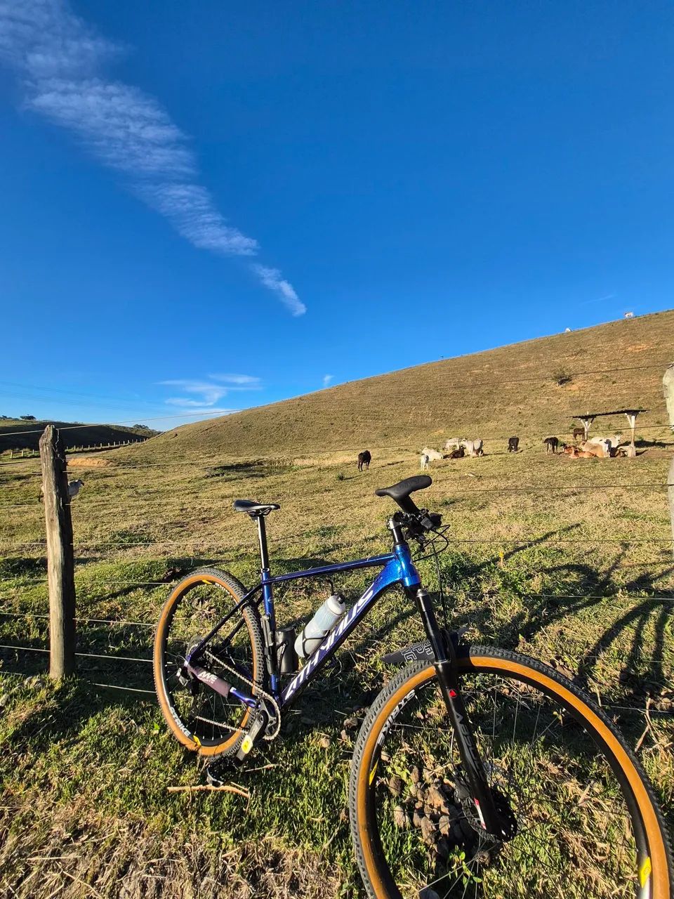 Bike first athymus aro 29 