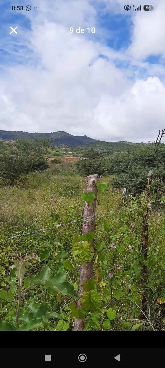 Terreno 