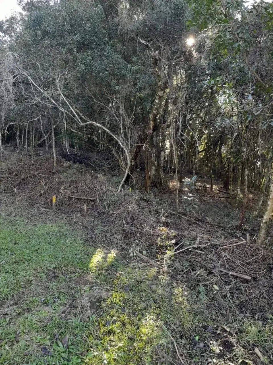 CAXIAS DO SUL - Terreno Padrão - MONTE BÉRICO - Foto 10