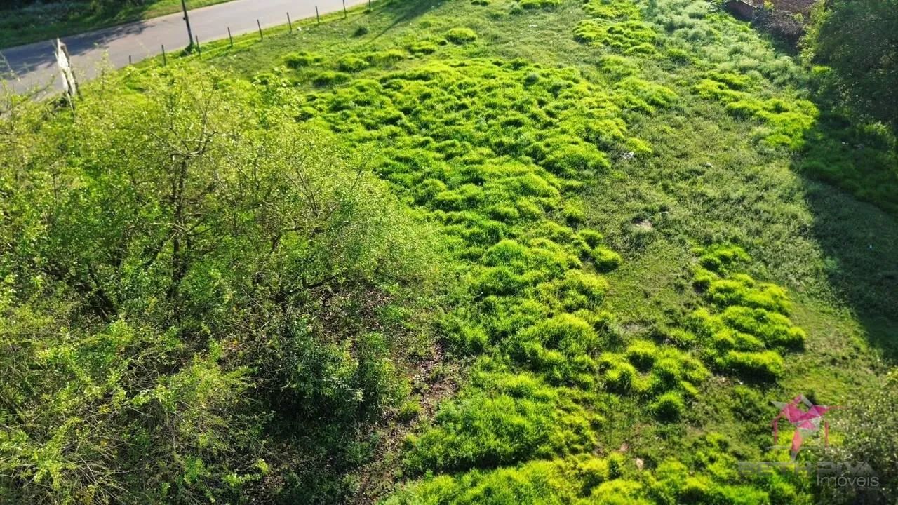ÁREA À VENDA EM AVENIDA  IDEAL PARA BARRACÕES, COMÉRCIO E INVESTIMENTO - Foto 3