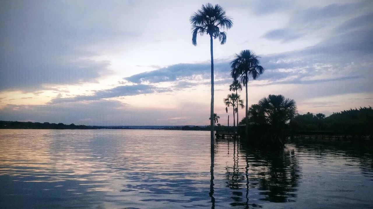 vendo  chácara Lagoa Formosa,planaltina go. - Foto 5