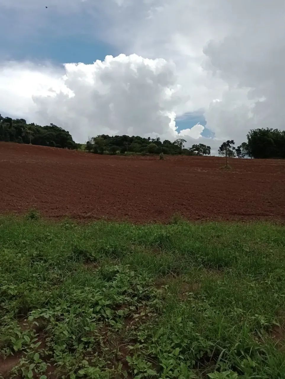 Sitio em Vargem SP perto da represa - Foto 2