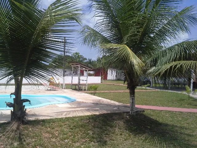Estrada de Neópolis - Canutama - Benevides 20.000m2 - Foto 4