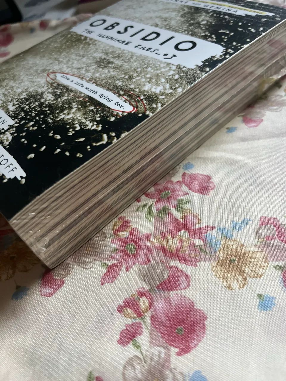 Livro Obsidio versão em inglês  - Foto 3