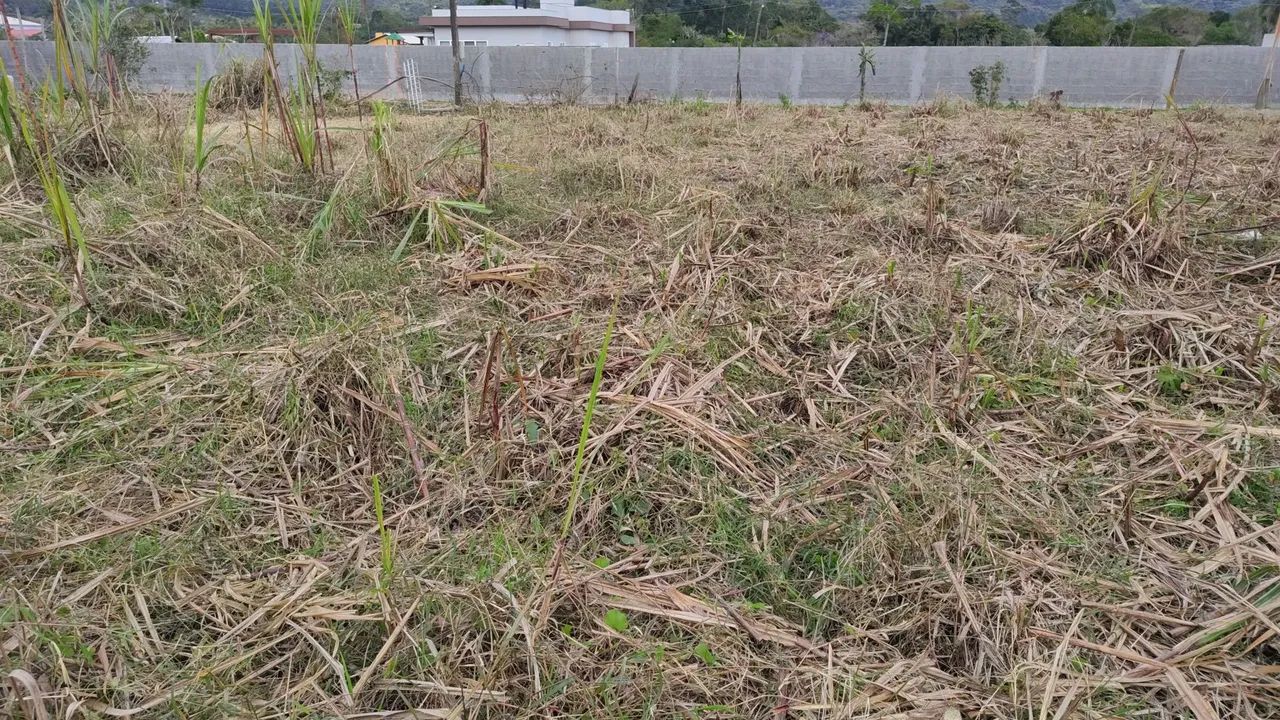 Terreno plano em ratones para alugar - Foto 2