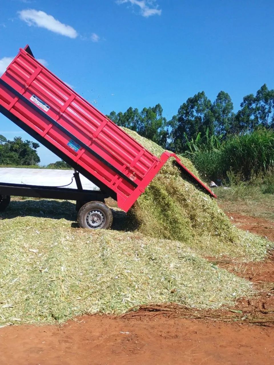 Carreta Agrícola basculante Hidráulica  - Foto 6