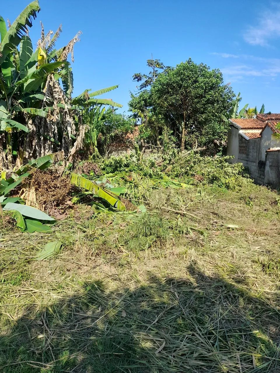 Foto - Maricá - Bananal (Ponta Negra)