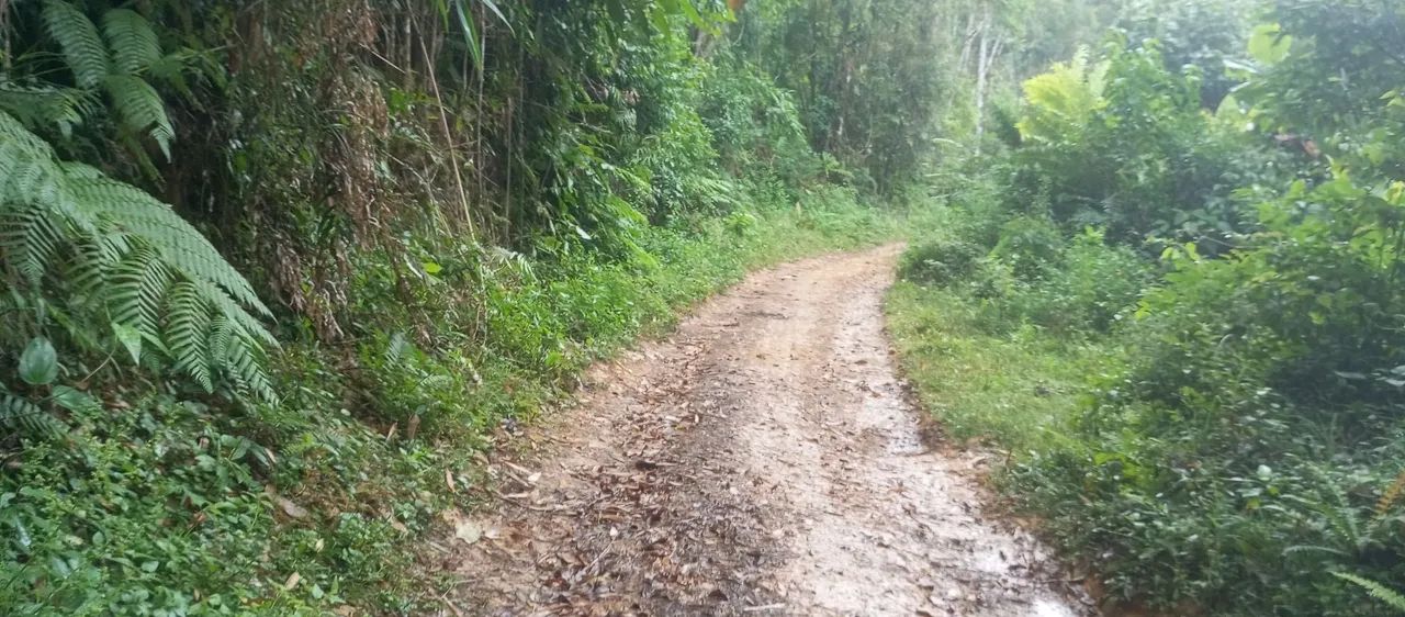 Vende se chácara  - Foto 5