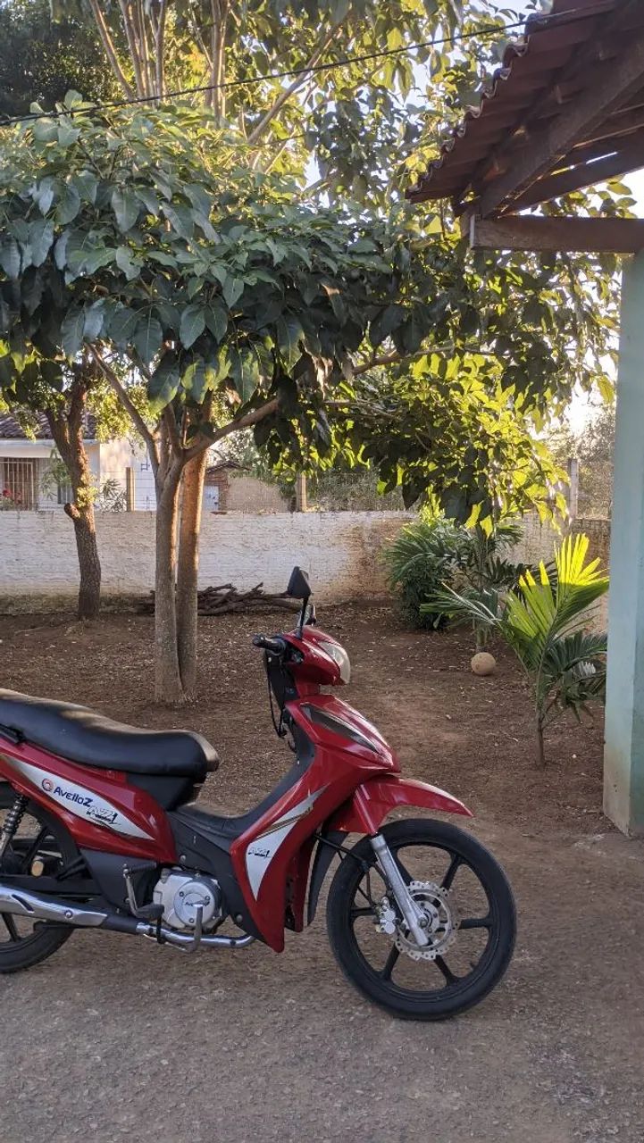 Chacara feira nova (Preço a Negociar) - Foto 3