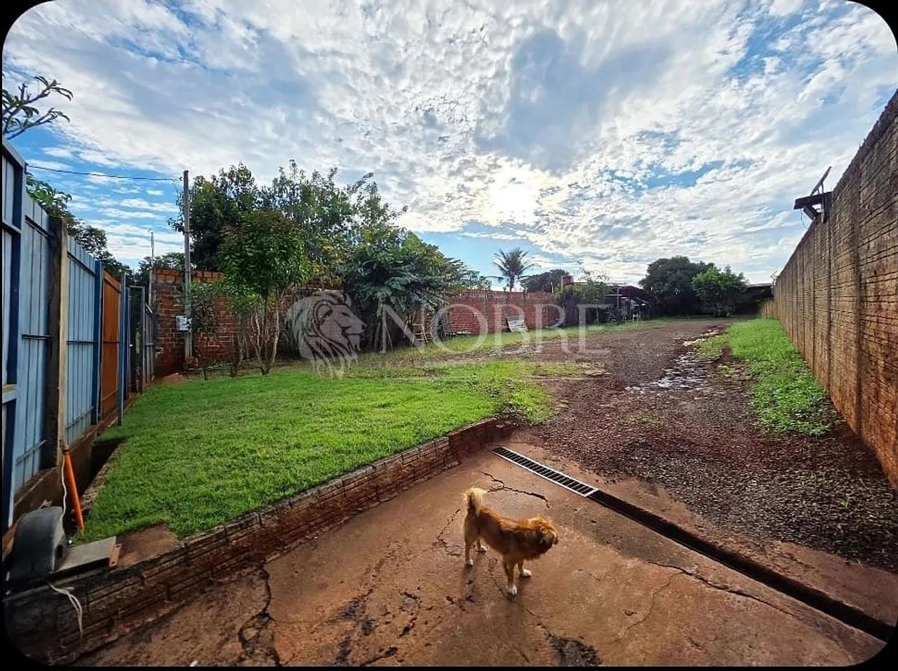 Chácara com 1.173 m² - Conj. Sanenge em Maringá - Foto 5