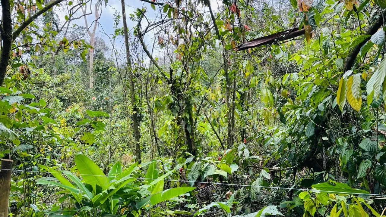 terreno a venda dentro loteamento - Foto 2