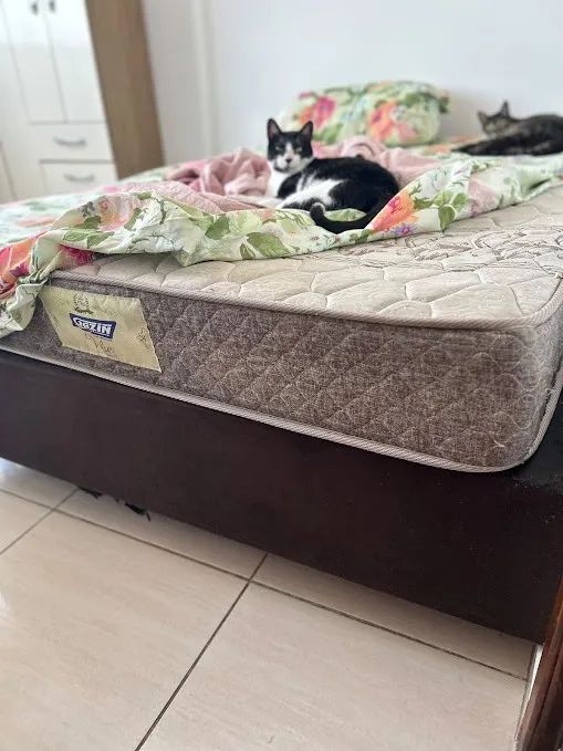 Cama box (Colchão+box) - Foto 2