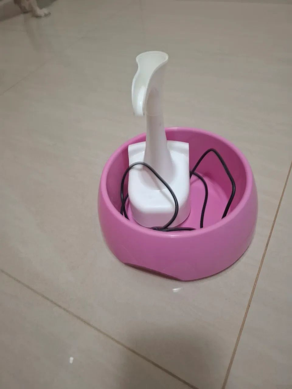 Kit cão  - Foto 2