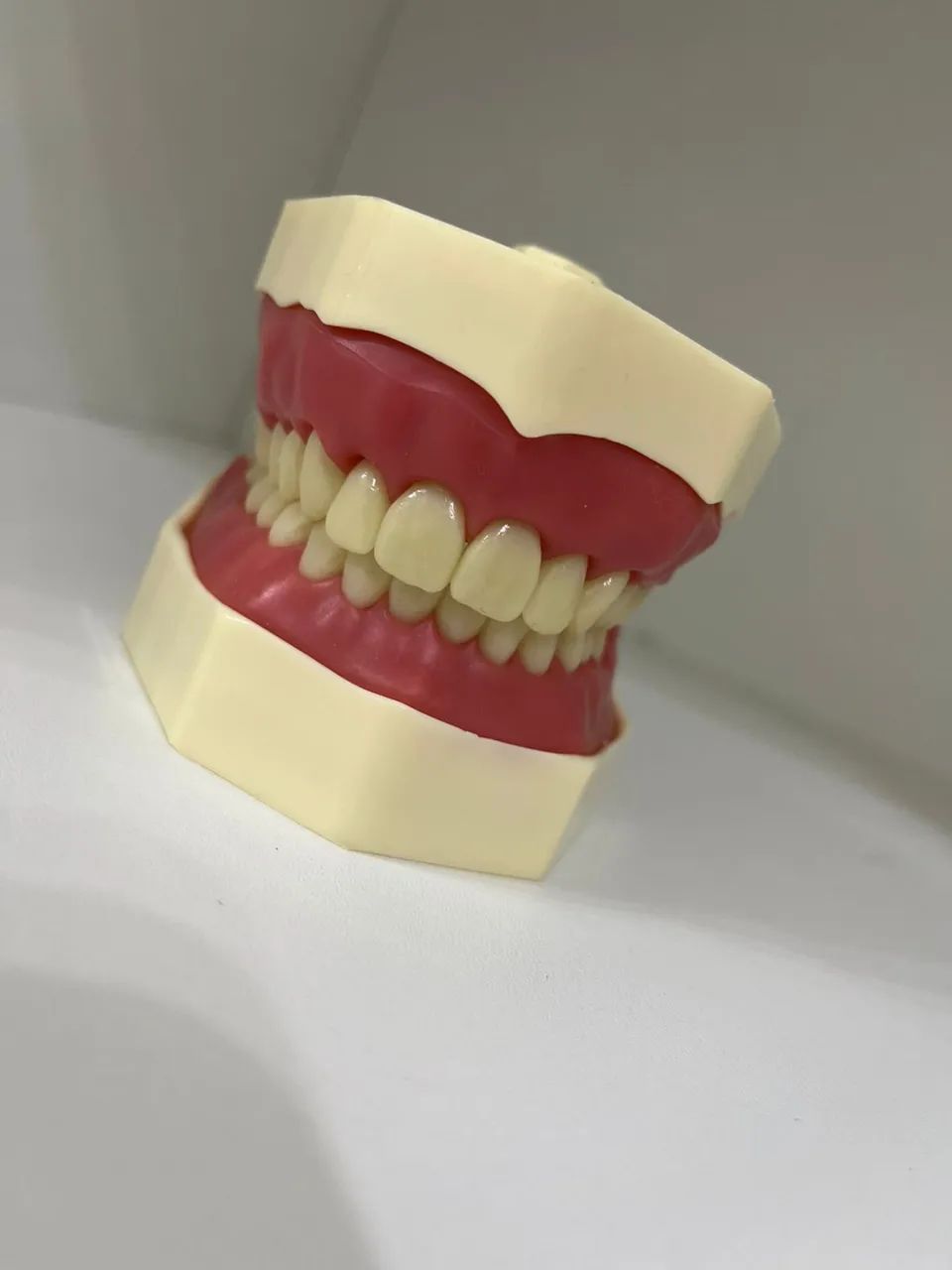 Manequim dentistica 