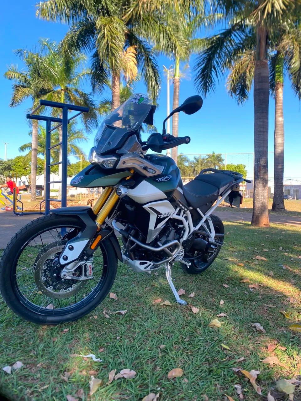 Tiger 900 RALLY PRO - Foto 5