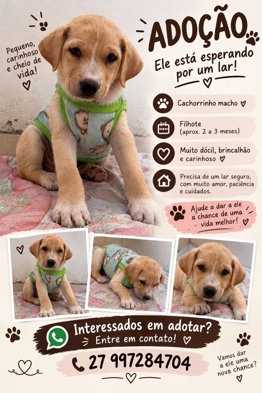 Adoção Responsável 