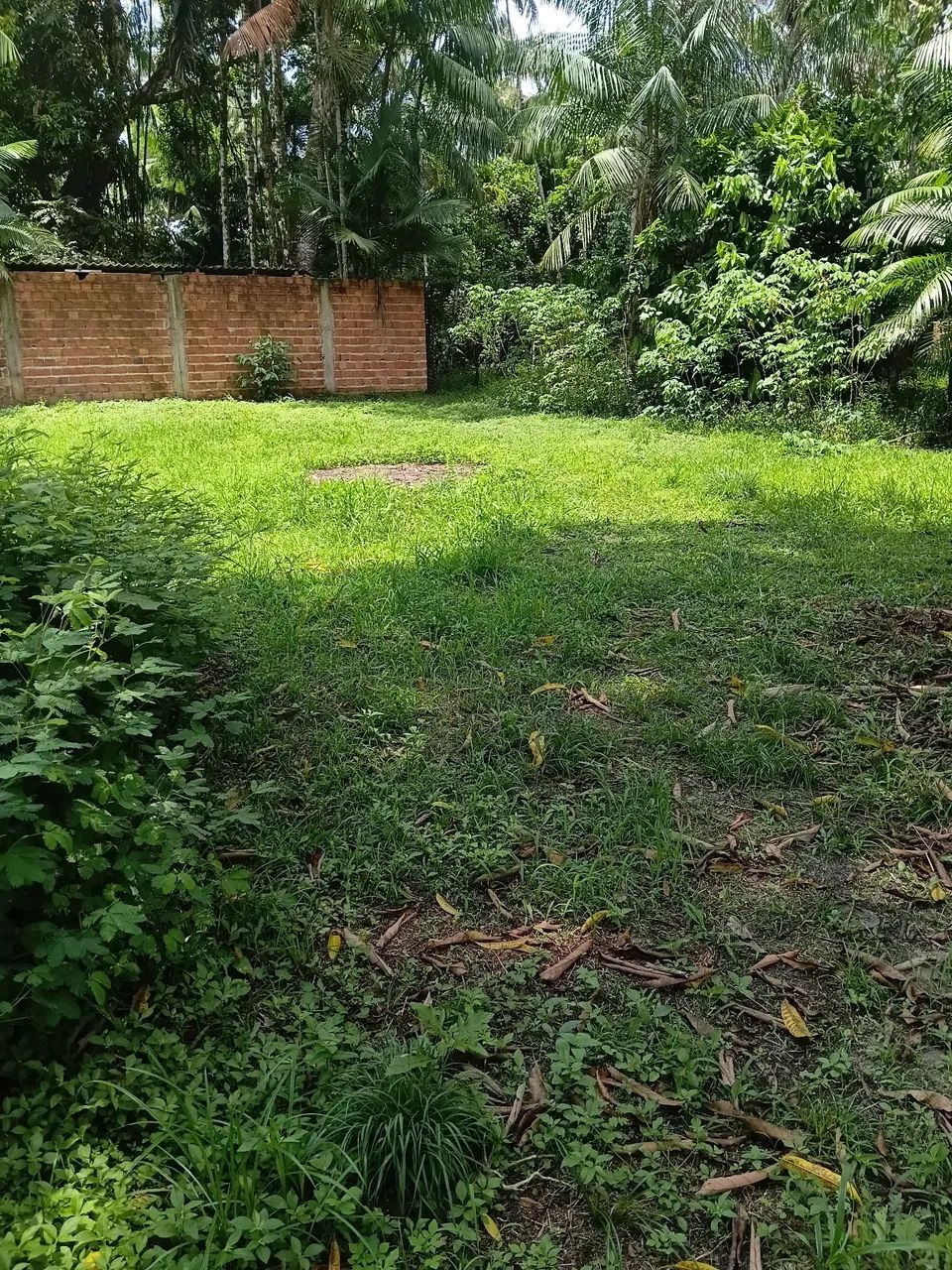 Terreno  - Foto 3