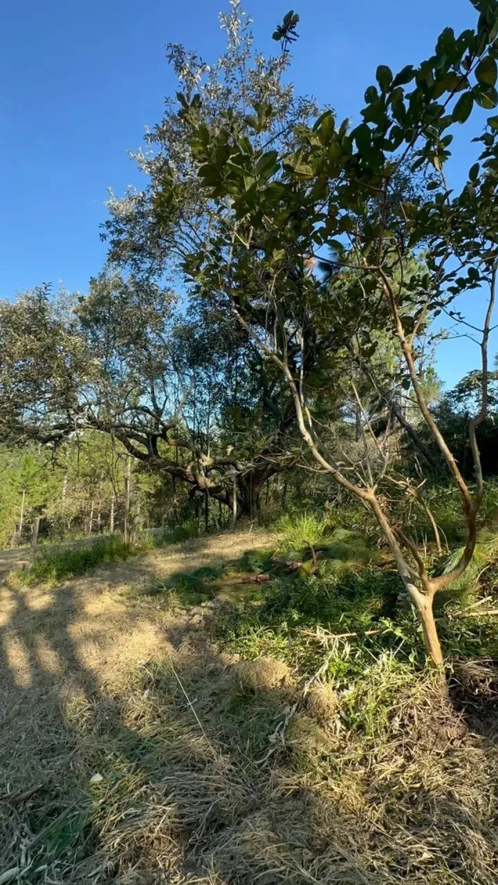Lotes de 1.000m² em Condomínio Fechado | Mairinque