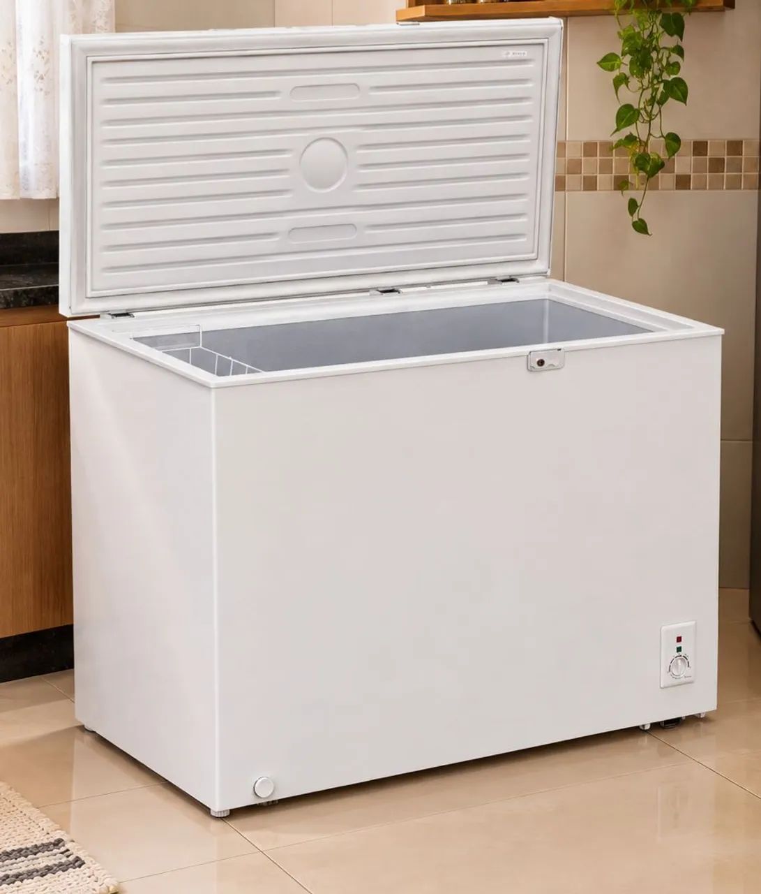 Frezer 1 porta 299lts - Foto 3