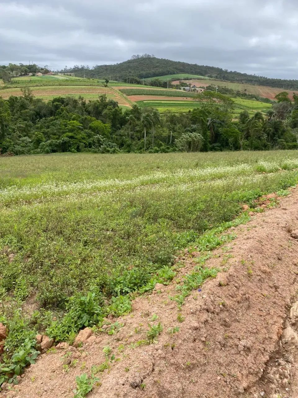 Seu refúgio dos sonhos em Cotia te espera! - Foto 4