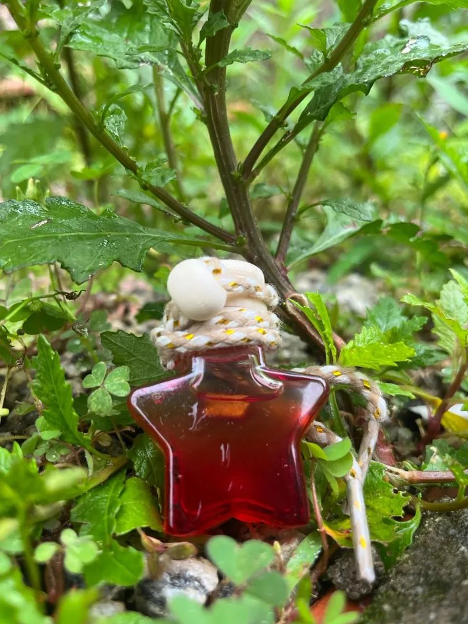 Perfume e óleo da bota  - Foto 4