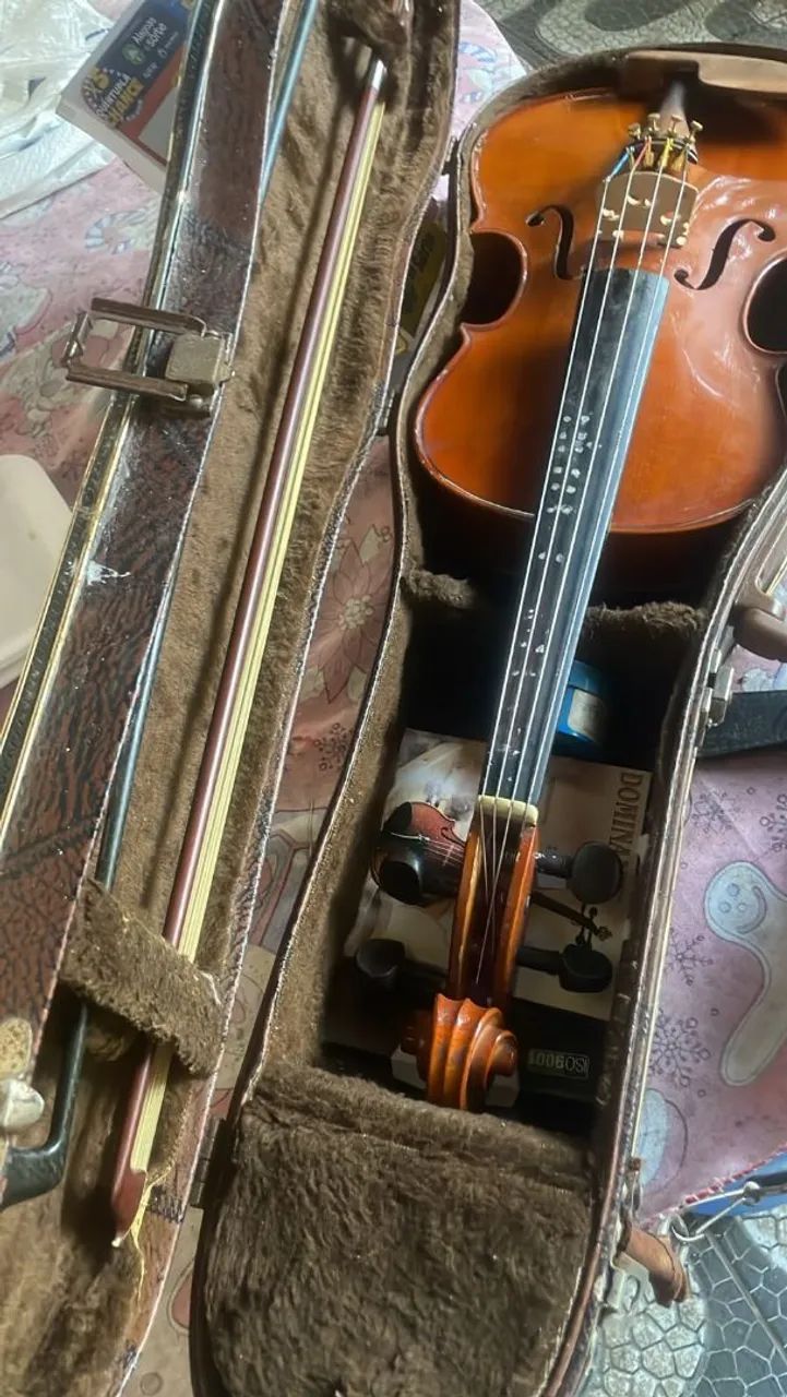 Violino