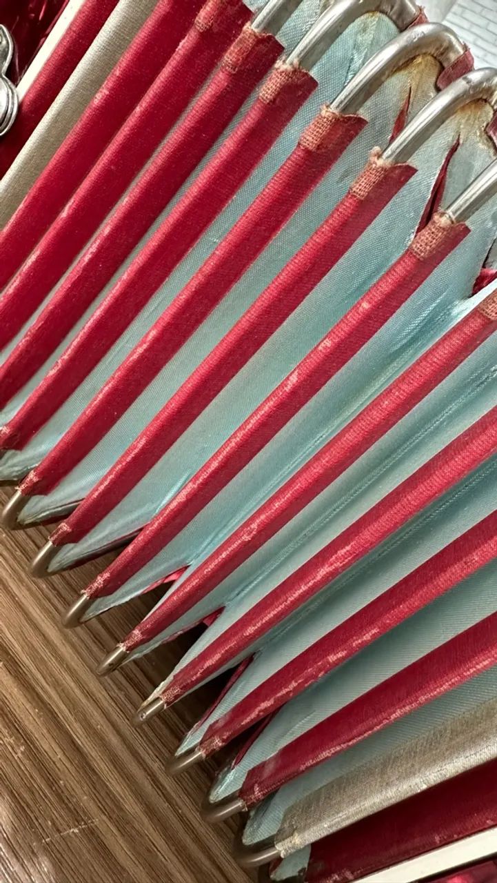 Acordeon Todeschini - Foto 3