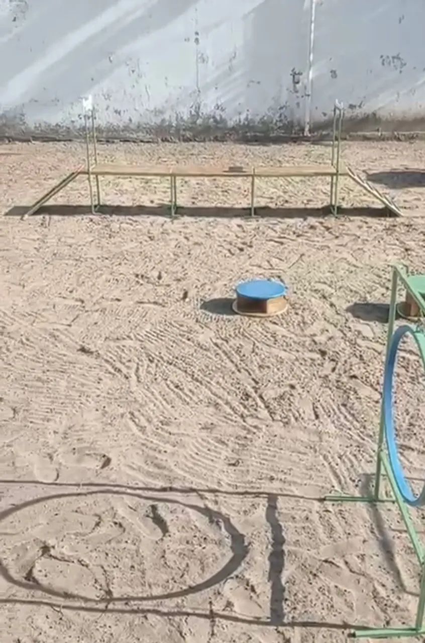 Vendo playground Pet !   - Foto 3