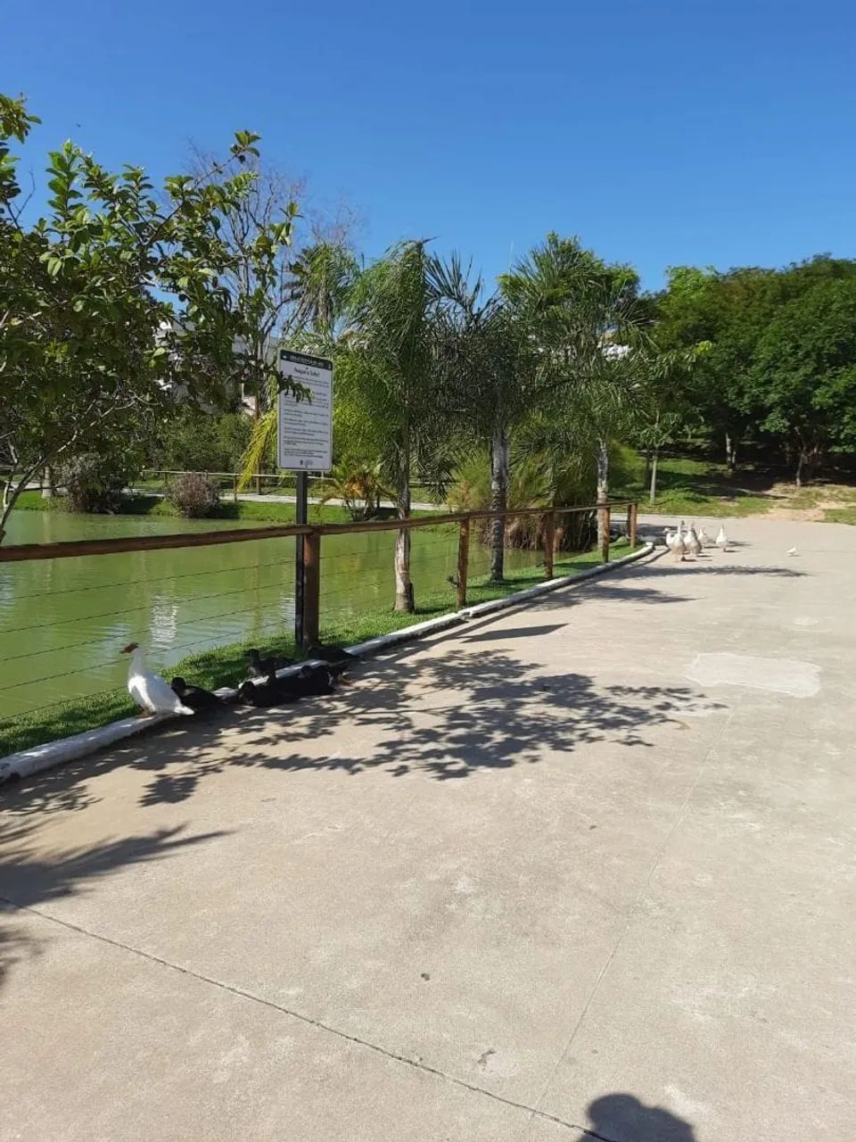 Terreno à venda, Lagoa, Macaé, RJ - Foto 4