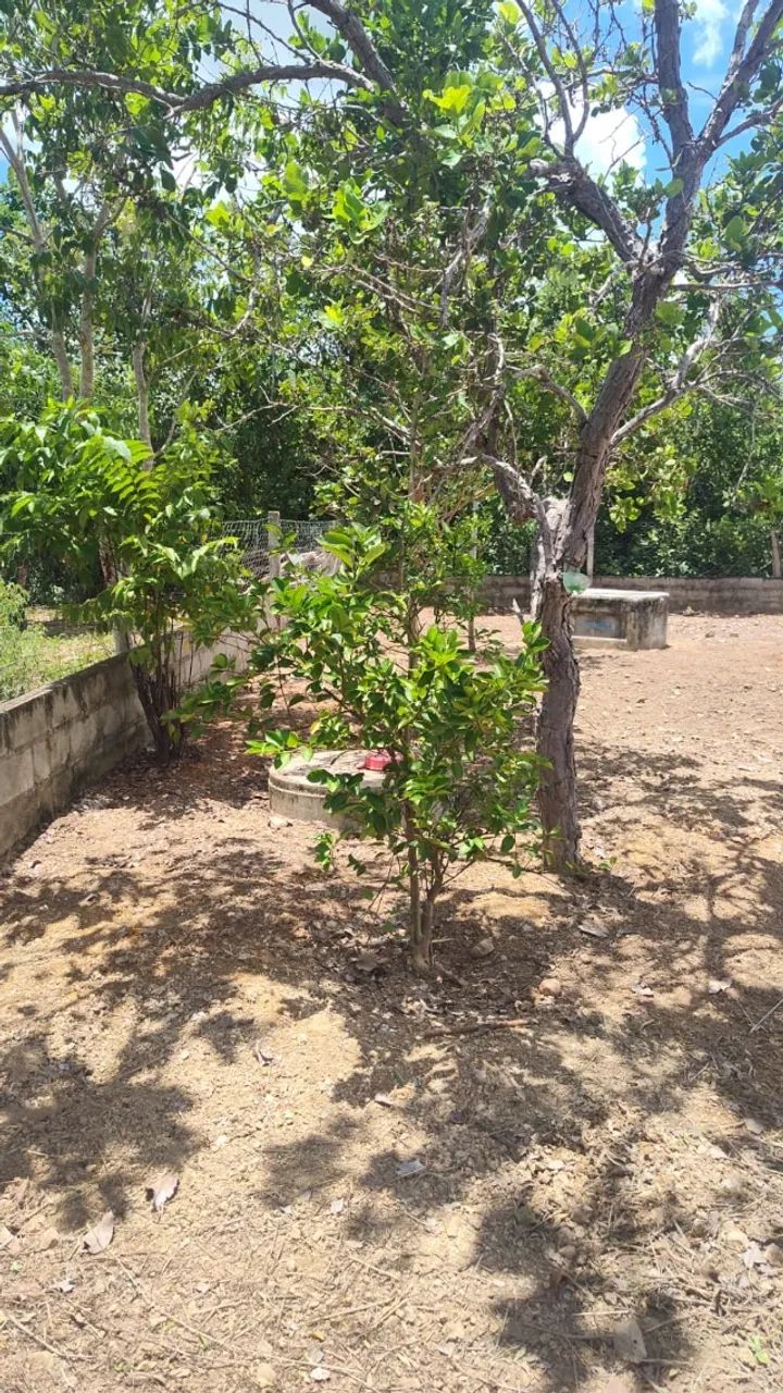CHACARA LOTEAMENTO 901 M² -  A 20 MINUTO DE  CUIABA - Foto 5