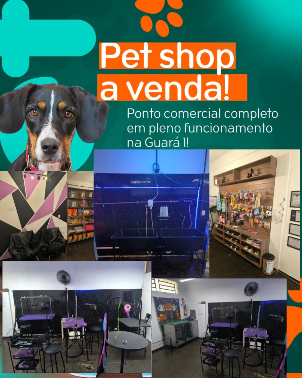 Pet shop a venda em pleno Funcionamento