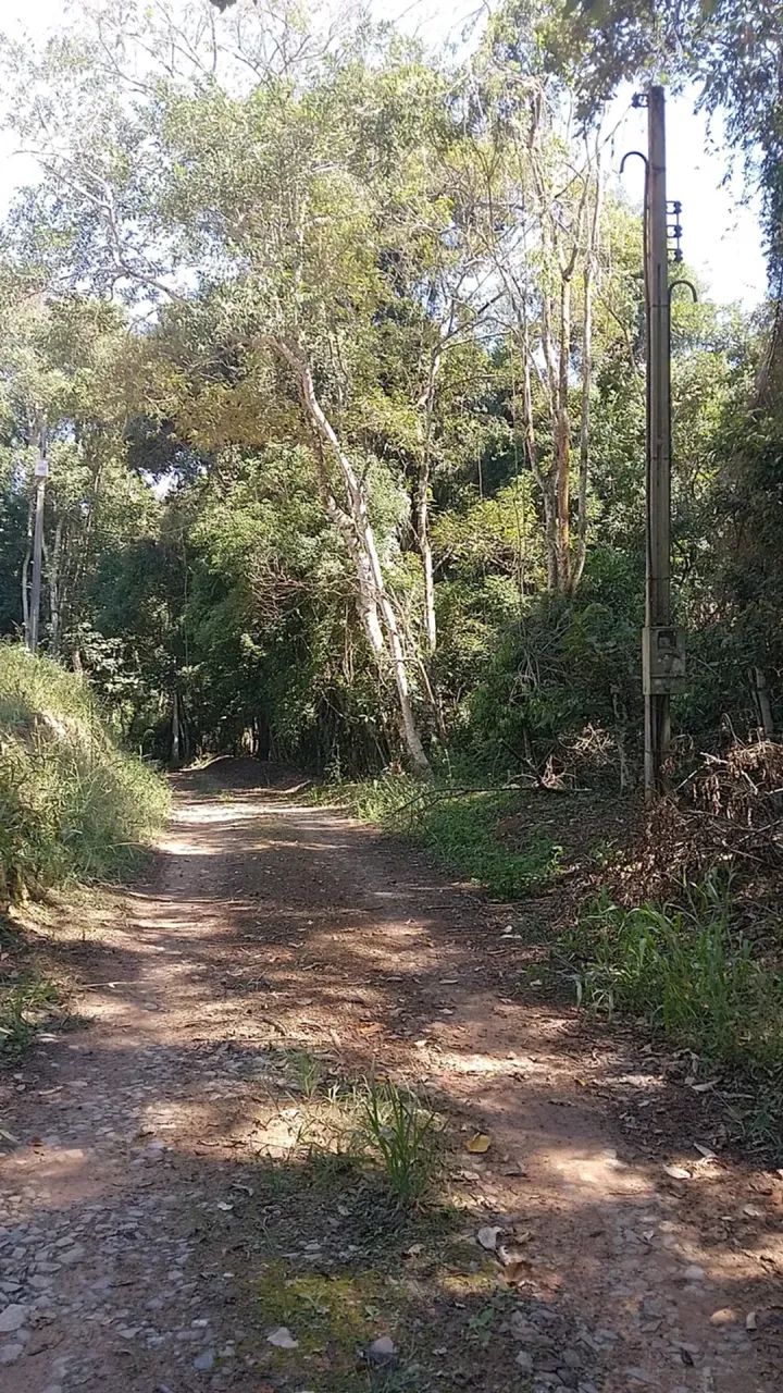 Terreno em Piedade - Foto 2