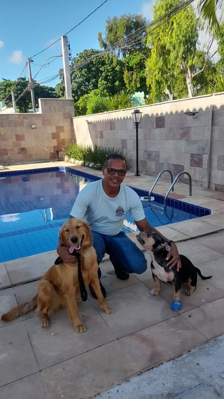 Adestramento de cães  - Foto 5