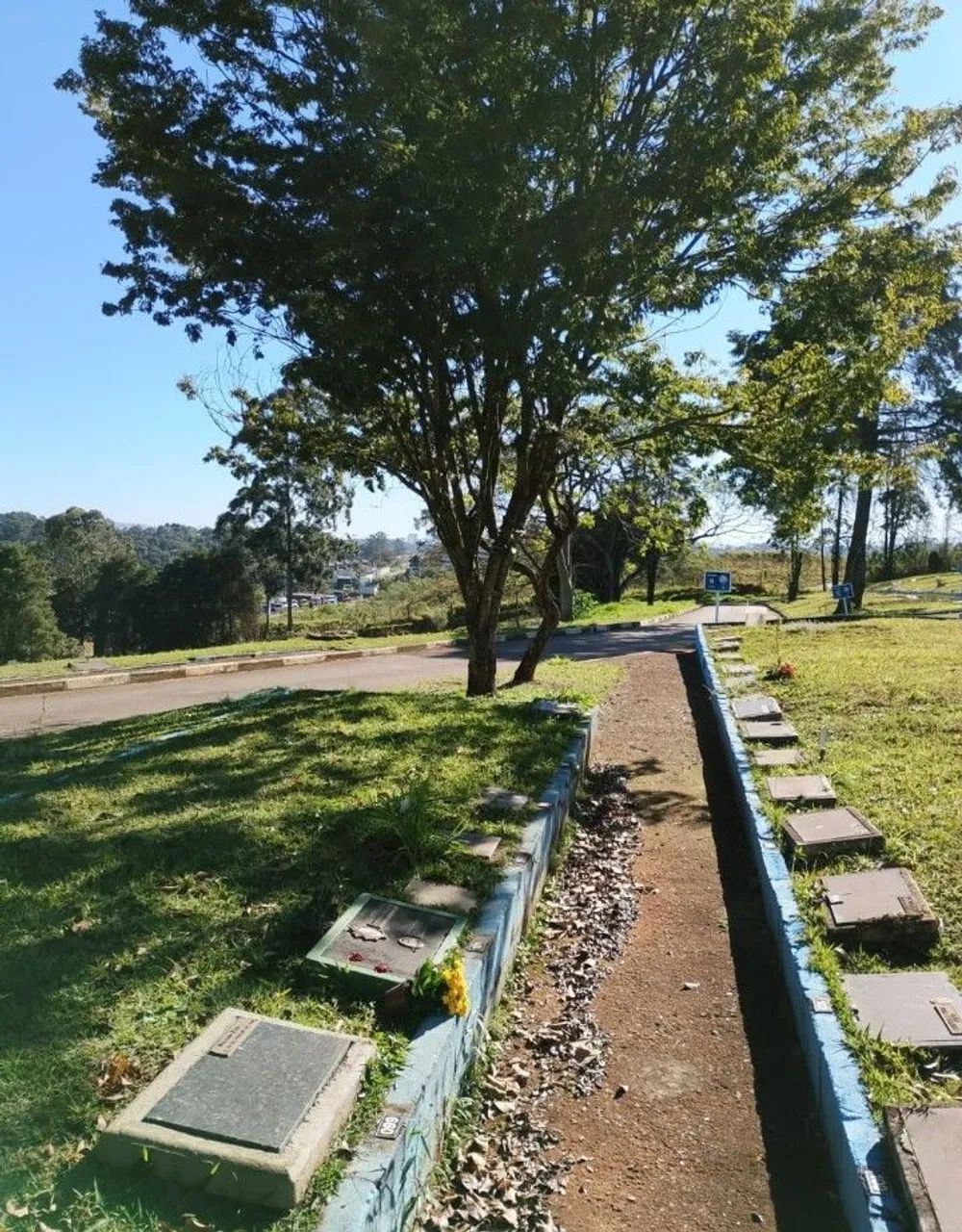 Vendo jazigo em Cotia - Foto 4