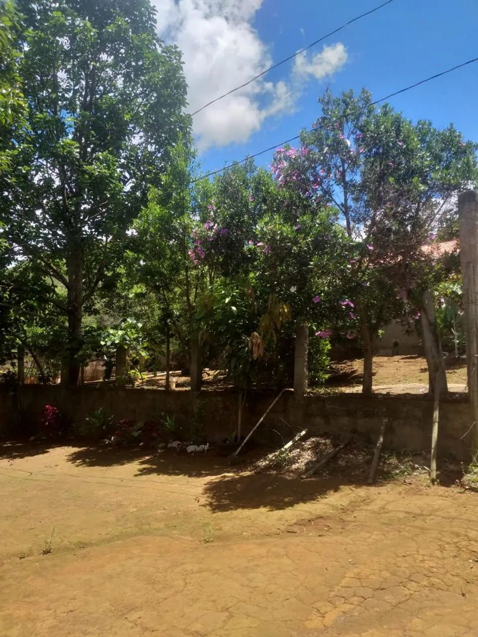 Foto - Juiz de Fora - Jóquei Clube