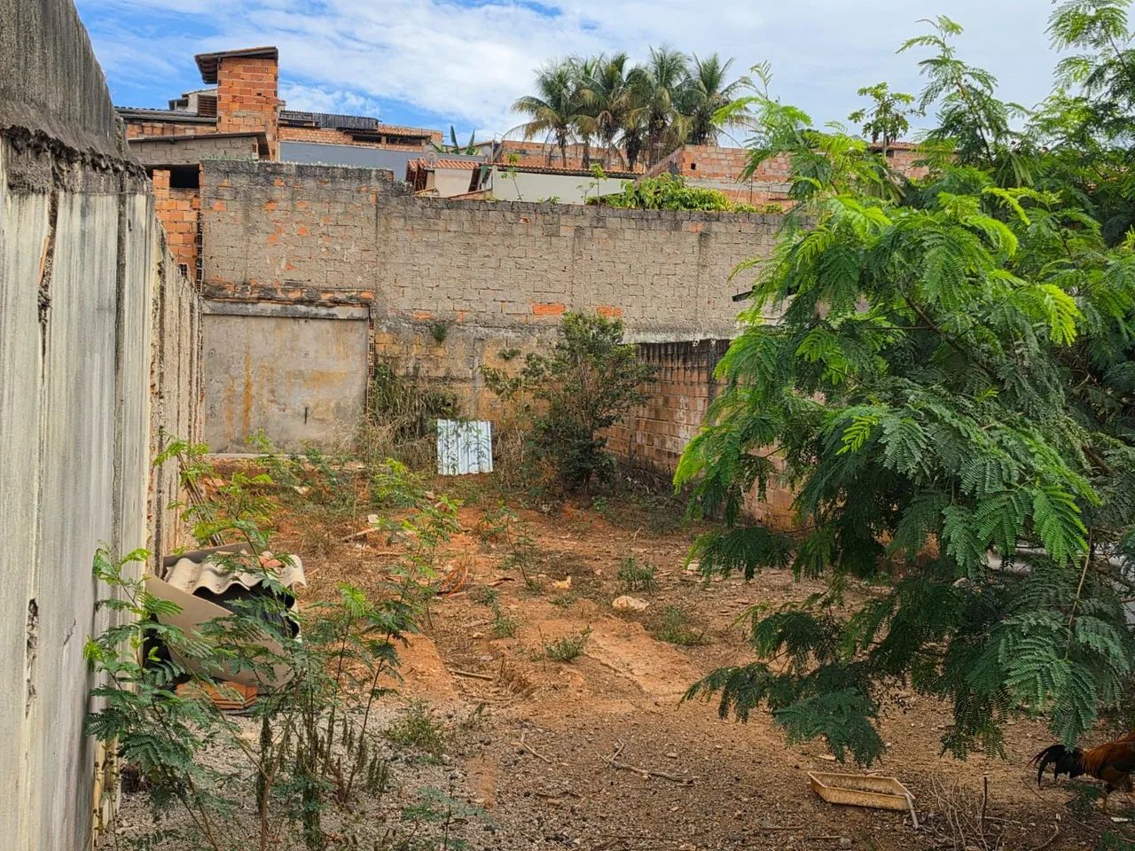 Lote excelente  - Foto 3