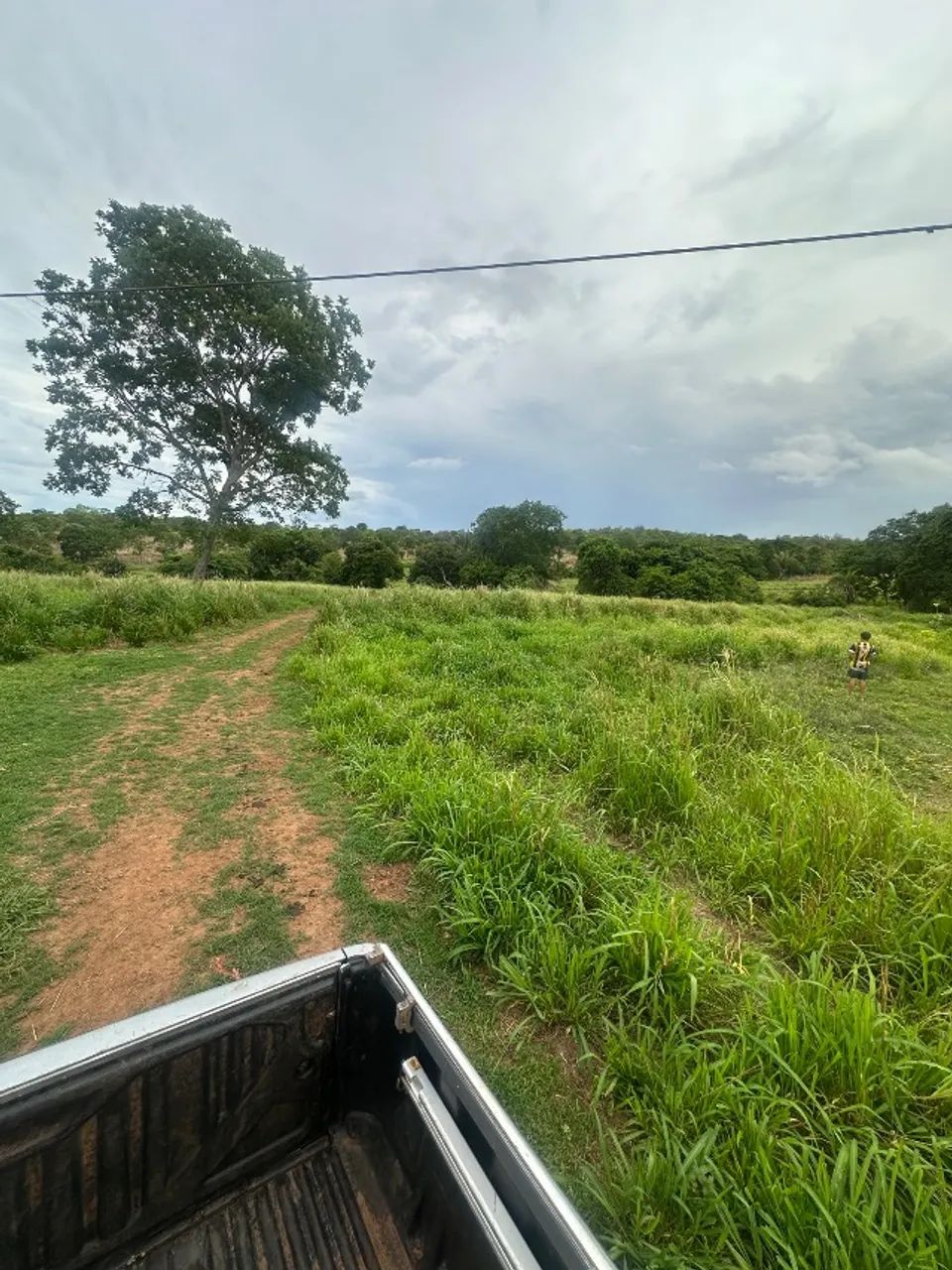 Fazenda na região sul do Tocantins 254 alqueires - Foto 4