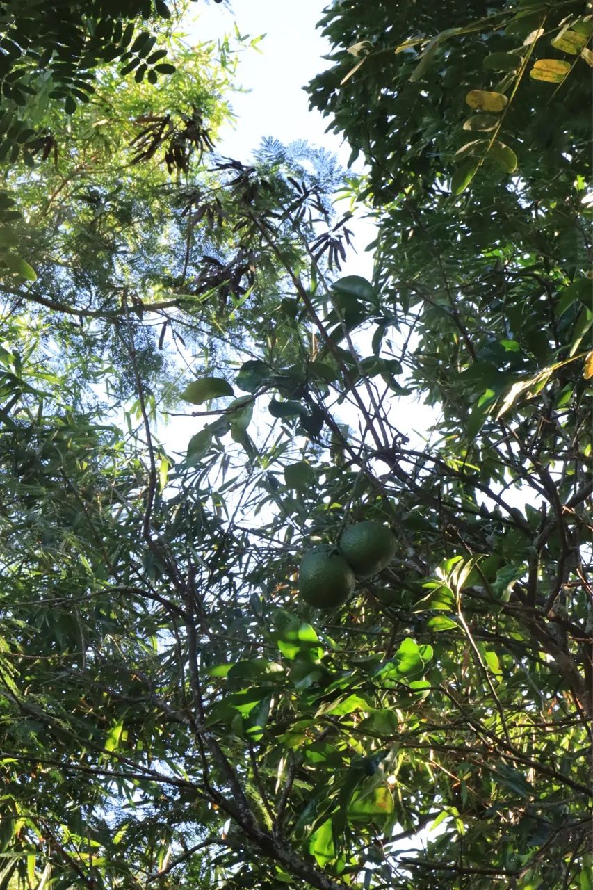 Terreno em Cabo Frio  - Foto 3