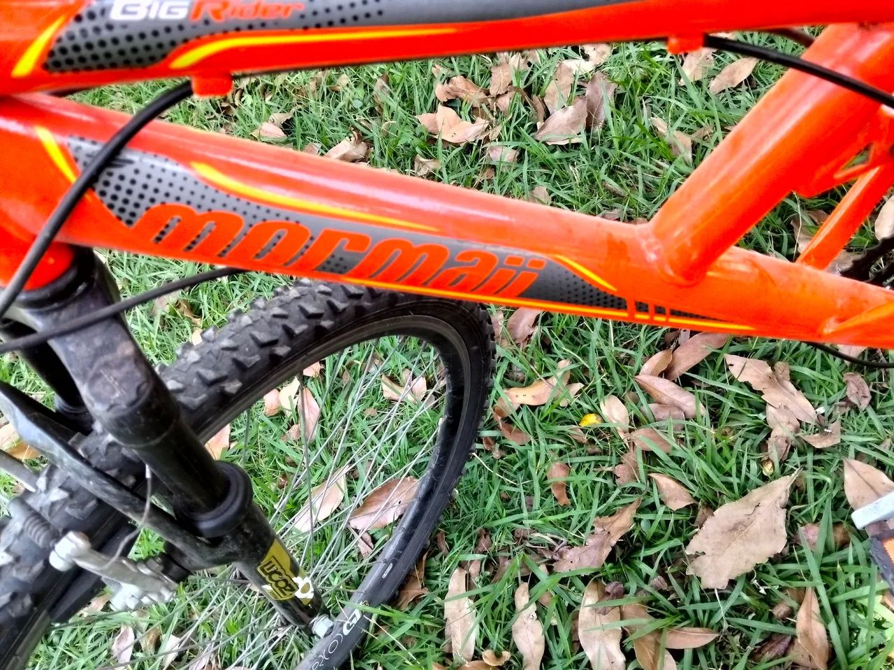 Bicicleta mormaii - Foto 2